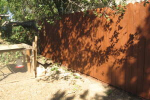 Carpentry Fence Stain Refinish - Carpentry