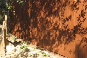 Carpentry Fence Stain Refinish - Carpentry