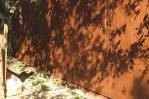 Carpentry Fence Stain Refinish - Carpentry