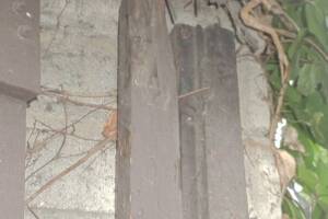Carpentry Gate Door Repair - Carpentry