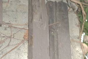 Carpentry Gate Door Repair - Carpentry