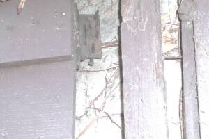 Carpentry Gate Door Repair - Carpentry