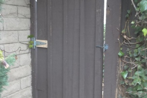 Carpentry Gate Door Repair - Carpentry