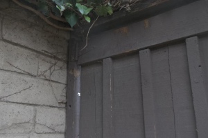 Carpentry Gate Door Repair - Carpentry