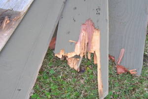 Carpentry Gate Dryrot Repair - Carpentry
