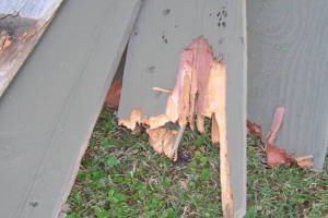 Carpentry Gate Dryrot Repair - Carpentry