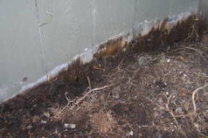 Carpentry Gate Dryrot Repair - Carpentry
