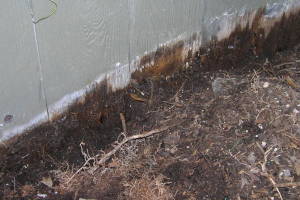 Carpentry Gate Dryrot Repair - Carpentry