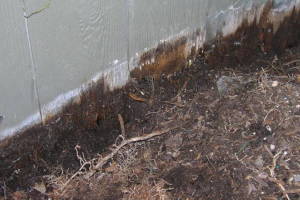 Carpentry Gate Dryrot Repair - Carpentry