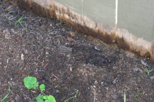 Carpentry Gate Dryrot Repair - Carpentry