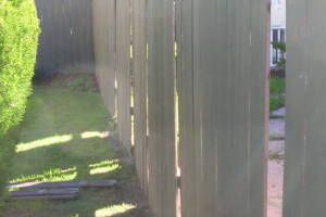 Carpentry Gate Dryrot Repair - Carpentry