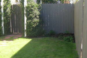 Carpentry Gate Dryrot Repair - Carpentry