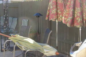 Carpentry Gate Dryrot Repair - Carpentry