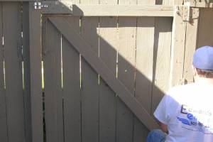 Carpentry Gate Dryrot Repair - Carpentry