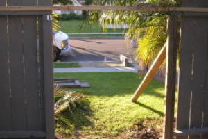 Carpentry Gate Dryrot Repair - Carpentry