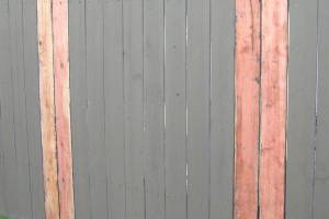 Carpentry Gate Dryrot Repair - Carpentry