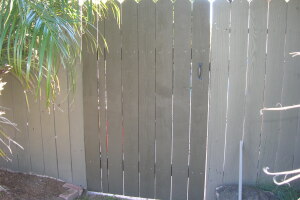 Carpentry Gate Dryrot Repair - Carpentry