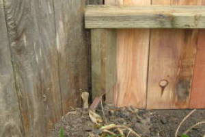 Carpentry Gate Entry Door - Carpentry