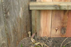Carpentry Gate Entry Door - Carpentry