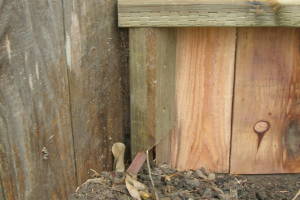 Carpentry Gate Entry Door - Carpentry