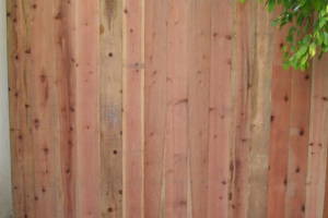 Carpentry Gate Entry Door - Carpentry
