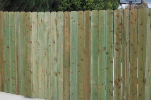 Carpentry Gate Wood Replacement - Carpentry
