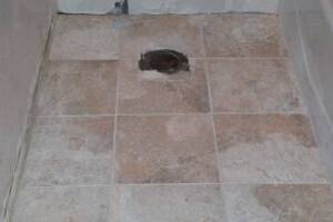 Carpentry Tile Remodel Home - Carpentry
