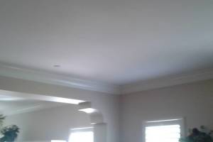 Carpentry Moulding Crown Install - Carpentry