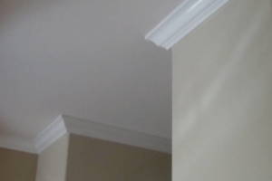 Carpentry Moulding Home Remodel - Carpentry
