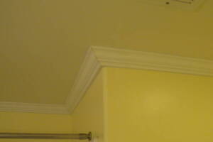 Carpentry Moulding Home Remodel - Carpentry