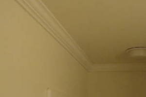 Carpentry Moulding Home Remodel - Carpentry