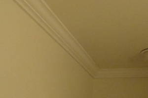 Carpentry Moulding Home Remodel - Carpentry