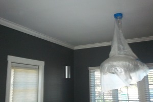 Carpentry Moulding Installation Paint - Carpentry