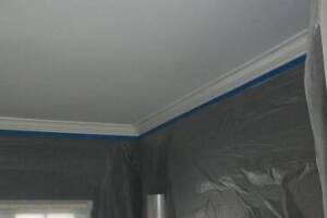 Carpentry Moulding Installation Paint - Carpentry
