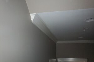 Carpentry Moulding Installation Paint - Carpentry