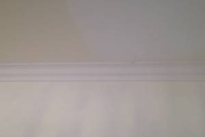 Carpentry Moulding Remodel Install - Carpentry