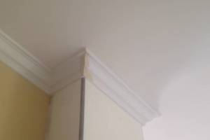 Carpentry Moulding Remodel Install - Carpentry