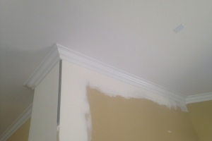 Carpentry Moulding Remodel Install - Carpentry