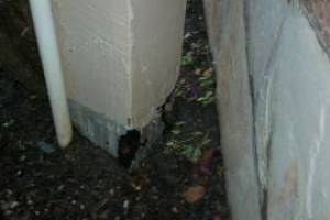 Carpentry Patio Cover Beam Repair - Carpentry