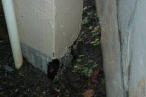Carpentry Patio Cover Beam Repair - Carpentry
