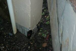 Carpentry Patio Cover Beam Repair - Carpentry