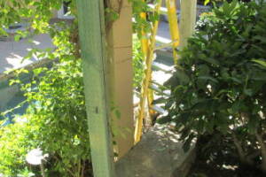 Carpentry Patio Cover Beam Repair - Carpentry