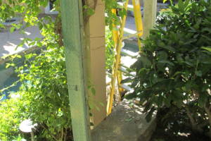 Carpentry Patio Cover Beam Repair - Carpentry