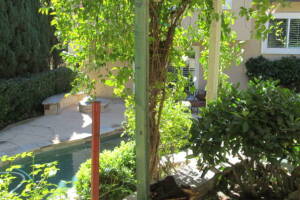 Carpentry Patio Cover Beam Repair - Carpentry