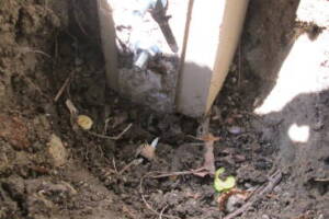 Carpentry Patio Cover Beam Repair - Carpentry