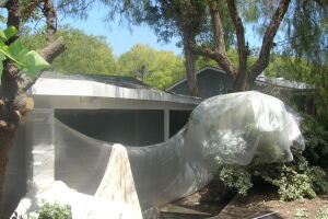 Carpentry Patio Cover Dryrot Repair - Carpentry