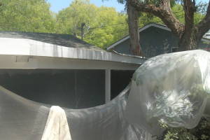 Carpentry Patio Cover Dryrot Repair - Carpentry