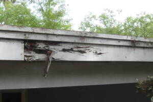 Carpentry Patio Cover Dryrot Repair - Carpentry