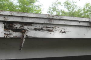 Carpentry Patio Cover Dryrot Repair - Carpentry