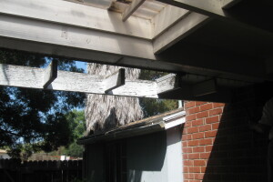 Carpentry Patio Cover Dryrot Repair - Carpentry
